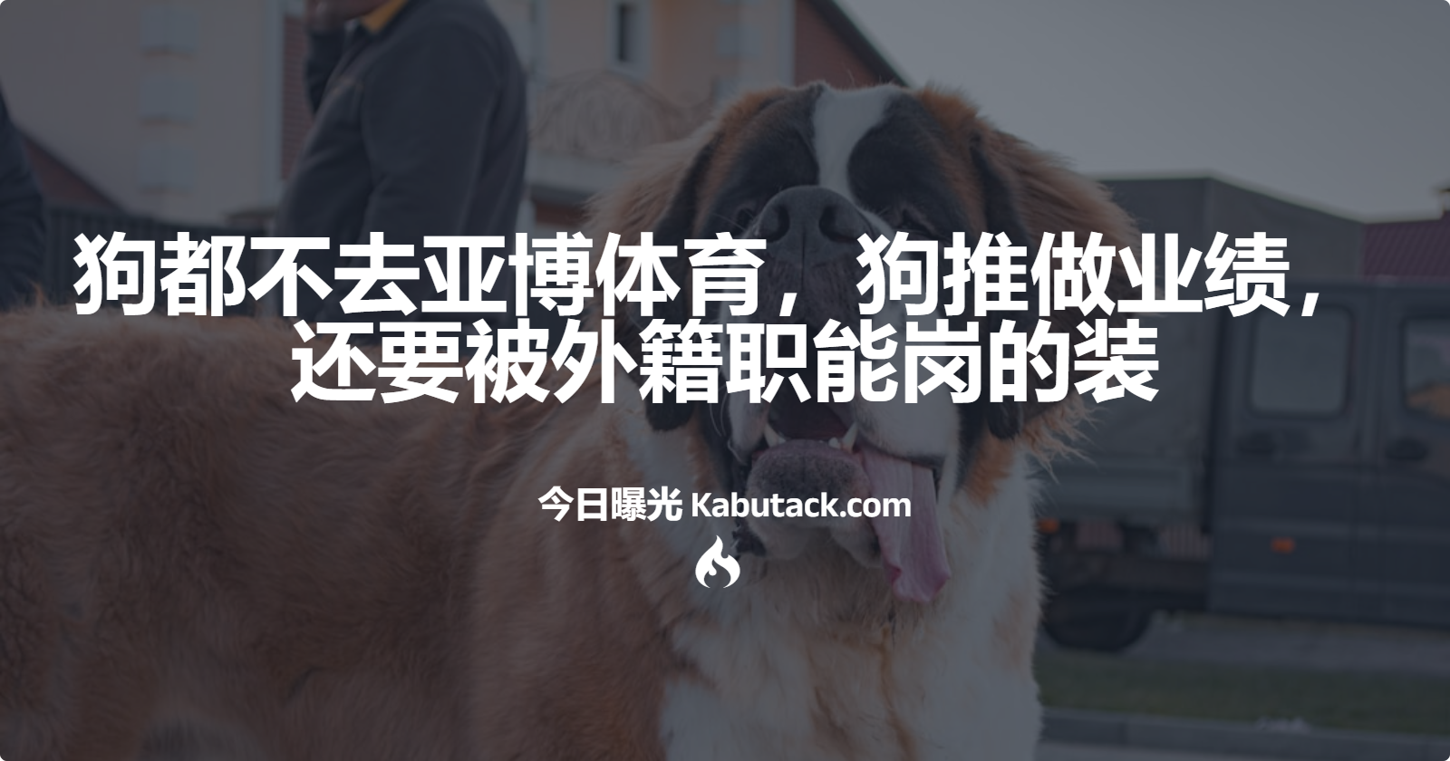 狗都不去亚博体育，狗推做业绩，还要被外籍职能岗的装